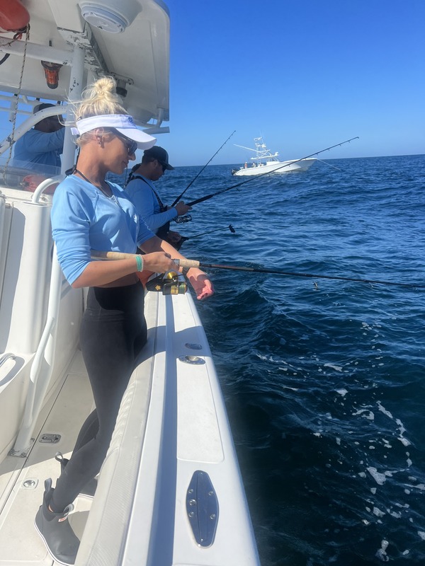 reel gulf predator fishing experience
